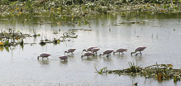 Lago Soldati