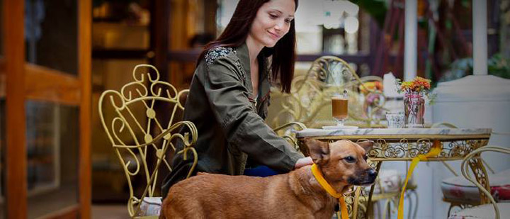 Mascotas en restaurantes