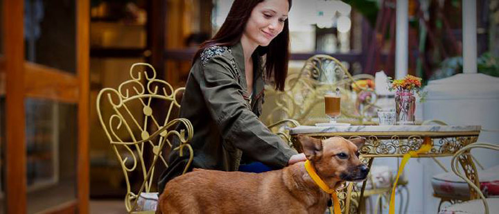 Mascotas en restaurantes