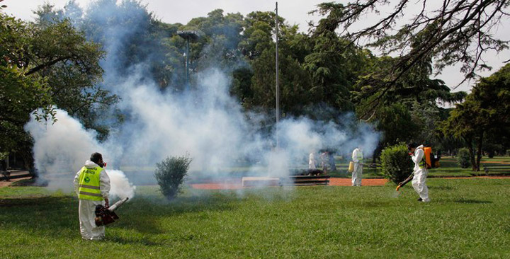 Cómo prevenir el dengue