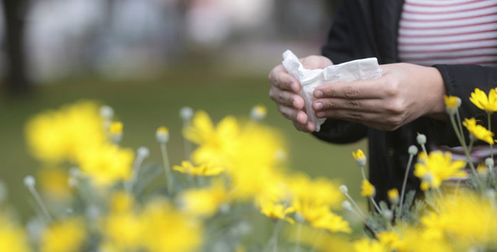 Para prevenir alergias