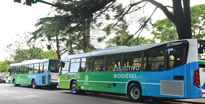 Colectivos con biodiesel