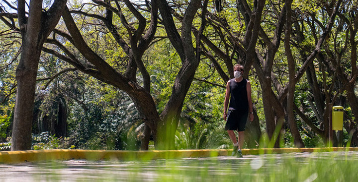 Jardín Botánico Carlos Thays