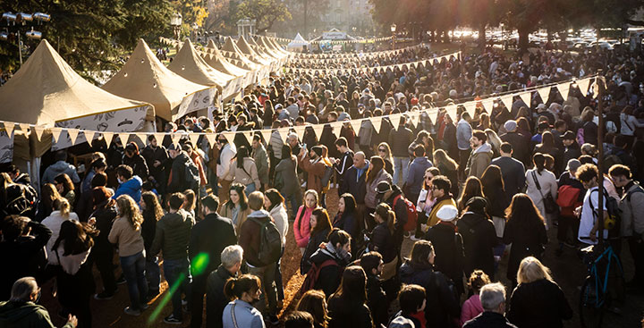 Festival de Café