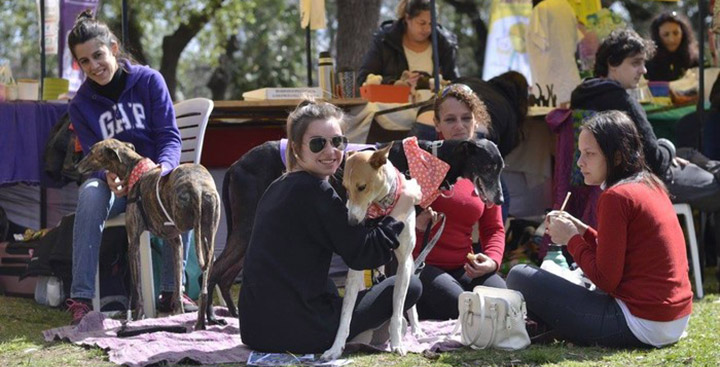 Cuidado responsable de mascotas