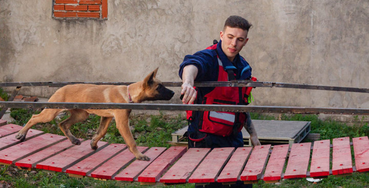 Unidad canina de rescate