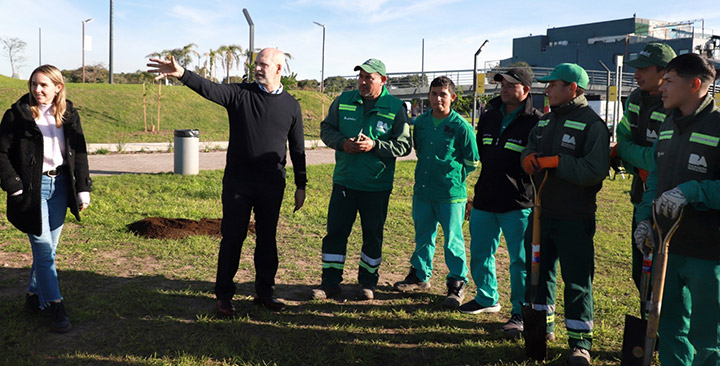 Por una ciudad más verde