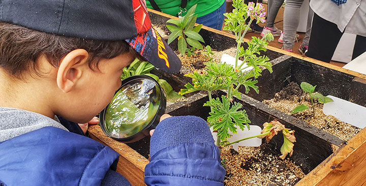 Educación Ambiental