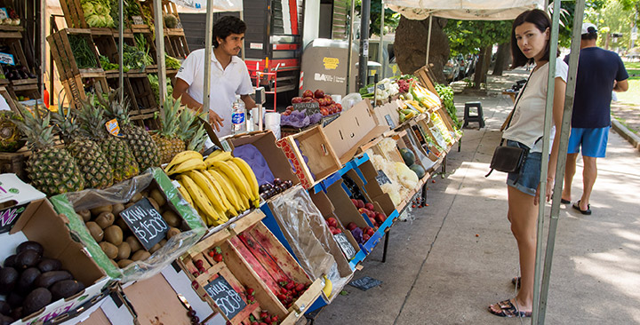 Feria Migrante