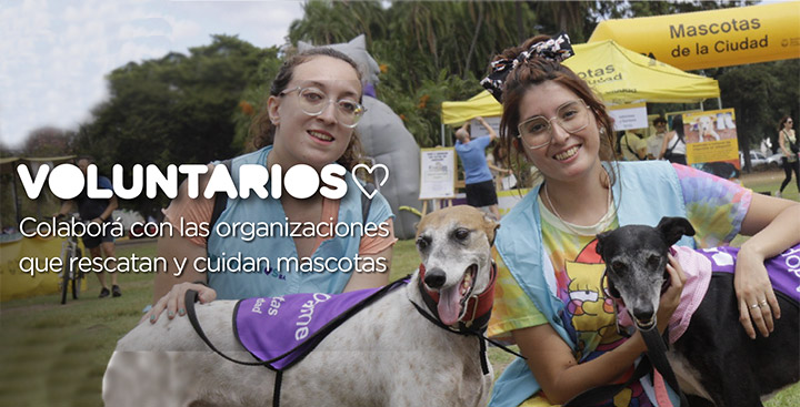 Jornada de Adopción de Mascotas