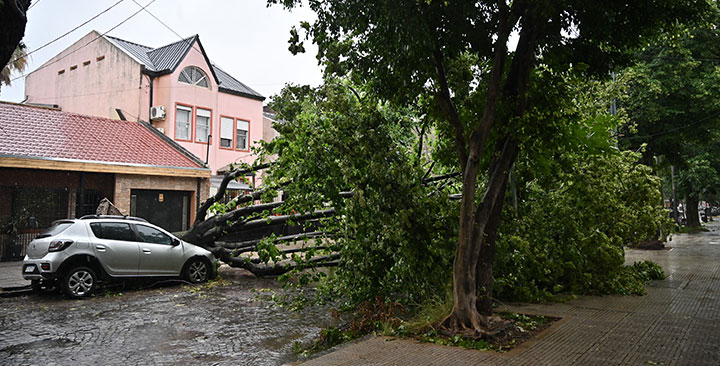 Subsidios por el temporal