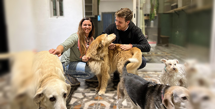 Impulsan leyes para mascotas