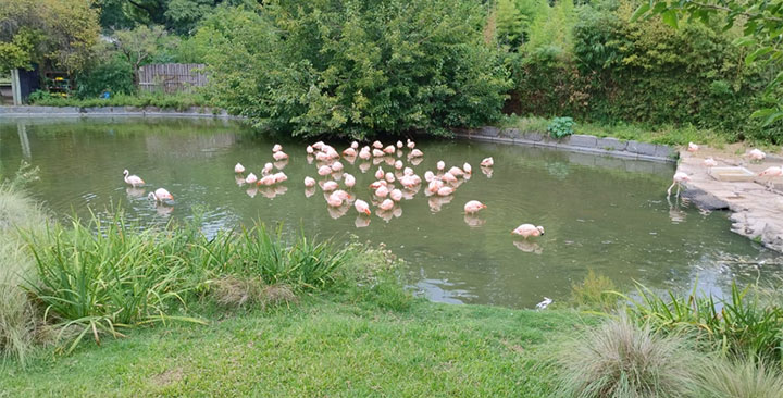 Verano en Ecoparque