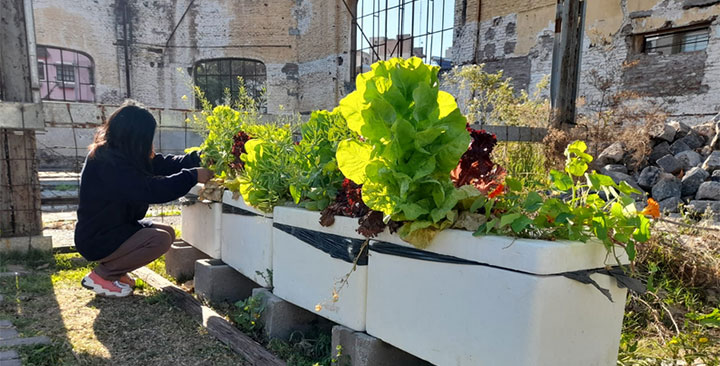 Educación ambiental