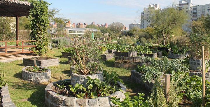 Huerta de otoño