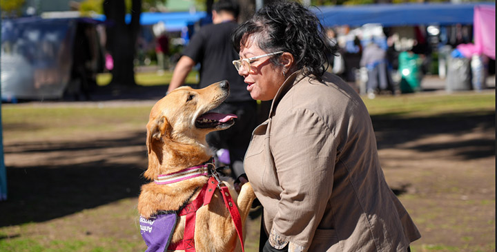 Jornadas de adopción
