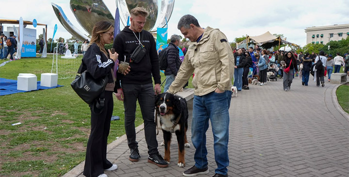 Identificación para mascotas Identificación para mascotas