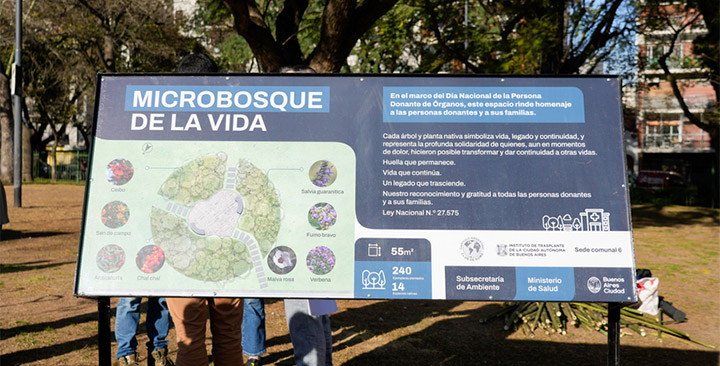 Microbosque urbano Microbosque urbano