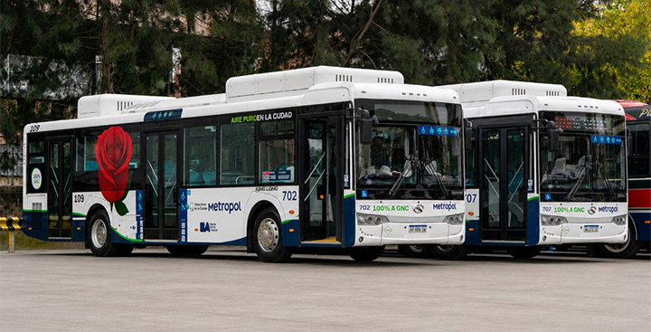 Nuevos colectivos