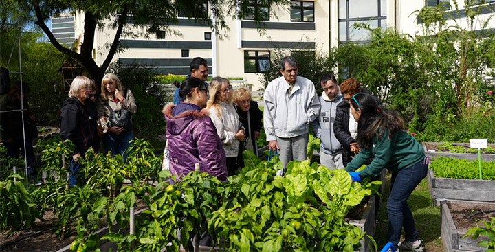 Paseo Ambiental del Sur 