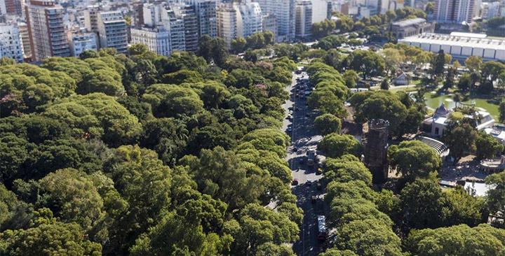 Plan de Arbolado Plan de Arbolado