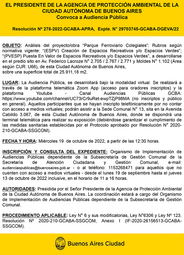 Audiencia Pública del 19 de octubre de 2020