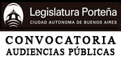 Audiencia Pública